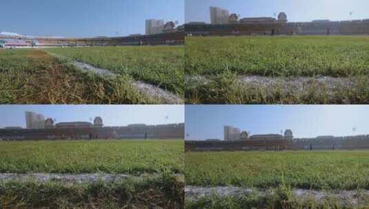 体育场视频足球场草地划线特写高清在线视频素材下载