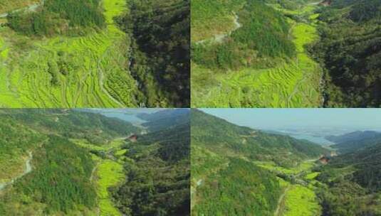 大山梯田高清在线视频素材下载