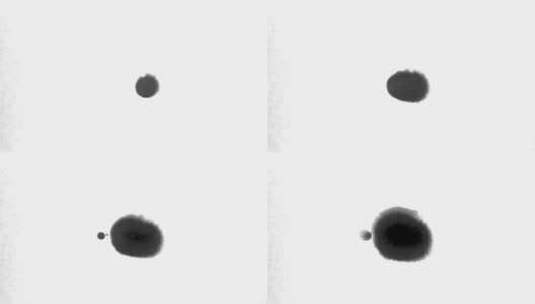 4K泼墨成景水墨滴落晕染特效视频素材24高清在线视频素材下载