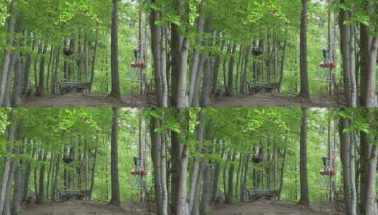 树林里的滑索线高清在线视频素材下载