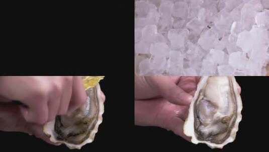 生蚝 高速升格 入水 牡蛎高清在线视频素材下载