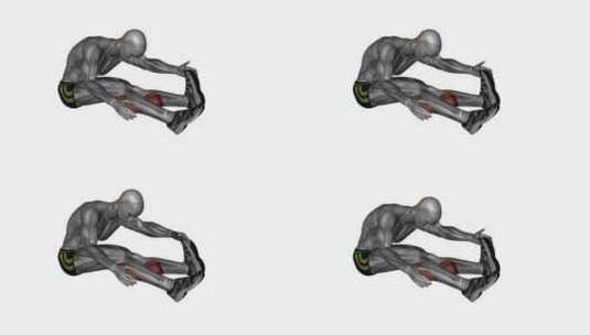 坐直腿伸小腿健身运动3D演示动画高清在线视频素材下载