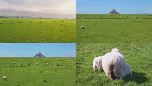 内蒙古草原羊群4K高清在线视频素材下载