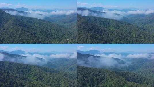 航拍西双版纳野象谷曼掌村原始森林景色高清在线视频素材下载