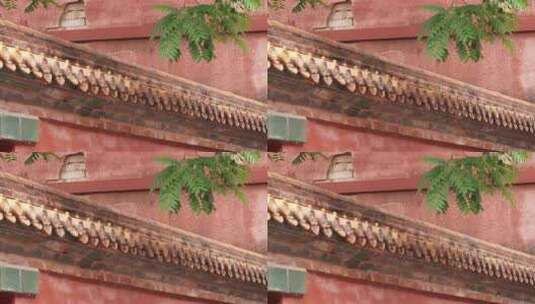 故宫古建筑屋檐红墙高清在线视频素材下载