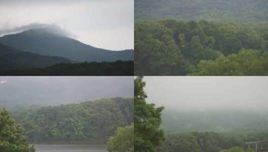 云雾缭绕的紫金山美景高清在线视频素材下载