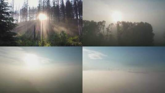 迷雾森林浓雾阳光穿过雾气森林丁达尔光高清在线视频素材下载
