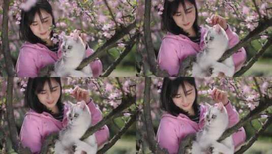 美女抱着宠物猫 春日踏青赏花高清在线视频素材下载