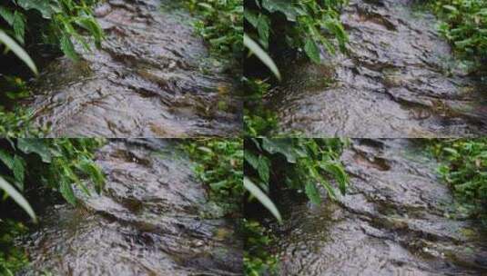 小溪流水高清在线视频素材下载