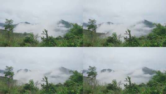 大山里的云雾高清在线视频素材下载