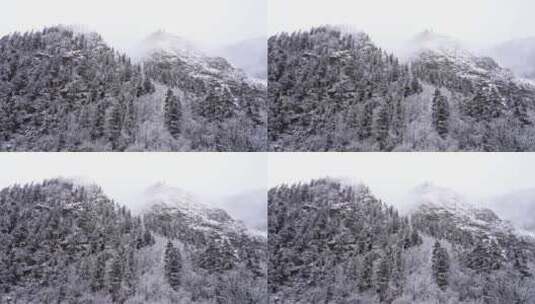 西藏昌都市然乌湖冬天森林雪松雾凇冰雪风景高清在线视频素材下载