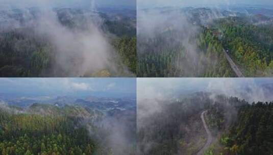4k 航拍清晨森林云雾缭绕高清在线视频素材下载