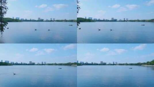 广州海珠湖公园蓝天白云与城市高楼建筑高清在线视频素材下载
