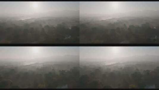 丁达尔光 西溪湿地 江南园林 晨光晨雾高清在线视频素材下载