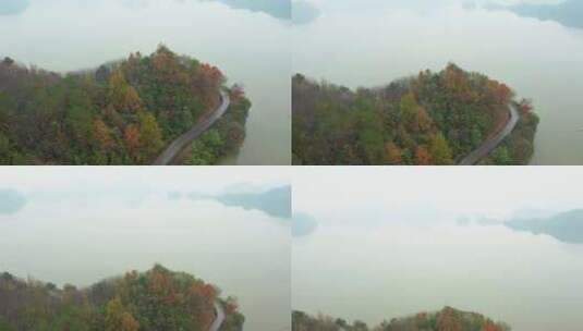 杭州市临安青山湖水上森林秋色航拍高清在线视频素材下载