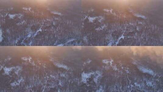 曙光照耀冻雾迷漫的林海雪原高清在线视频素材下载