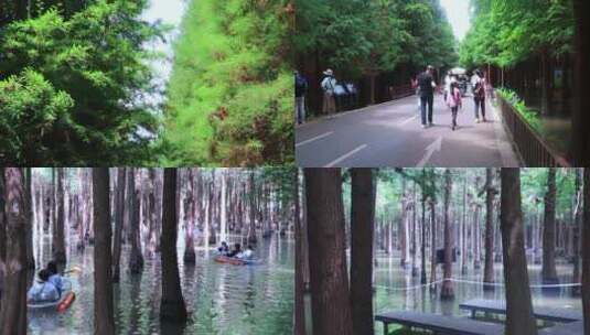 森林公园行走的路人 划船高清在线视频素材下载