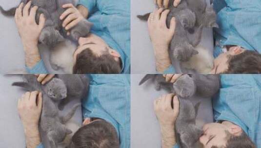 可爱小猫的垂直视频。拥抱可爱小猫的男人。高清在线视频素材下载