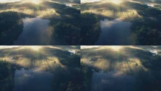 航拍清晨雾气森林湖泊薄雾丁达尔光树林雾气高清在线视频素材下载