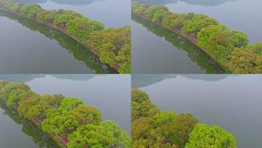 武汉东湖风景区夏季风光高清在线视频素材下载