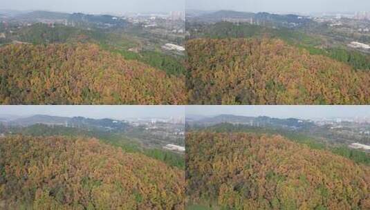 四川德阳罗江区附近山林秋色高清在线视频素材下载