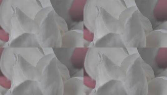 3819_白色花瓣配粉红色底色高清在线视频素材下载