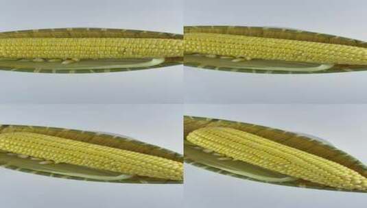 玉米棒4K实拍视频高清在线视频素材下载