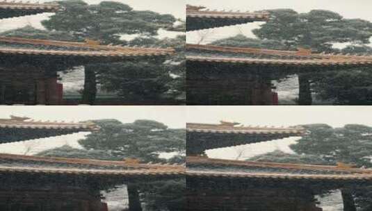 初春北京北海公园中式园林里飘落的雪花高清在线视频素材下载