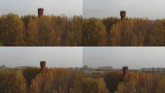 天津师范大学秋天航拍小树林高清在线视频素材下载