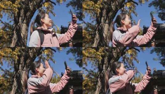 中国女人在岱庙古建筑树林旅游漫步拍照高清在线视频素材下载