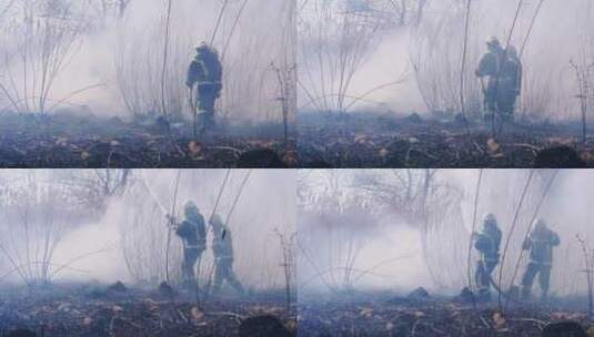 消防员扑灭树林中的一场大火高清在线视频素材下载