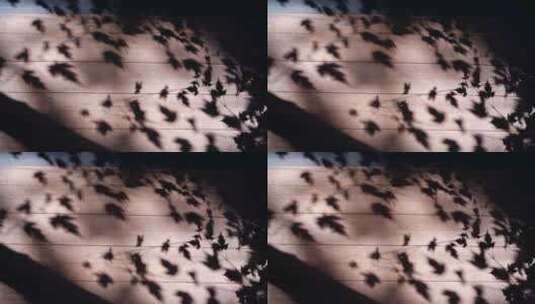 木板上的阳光与树叶的影子慢动作升格拍摄高清在线视频素材下载