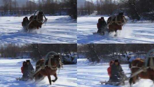 呼伦贝尔边塞雪野中边民乘坐马爬犁高清在线视频素材下载