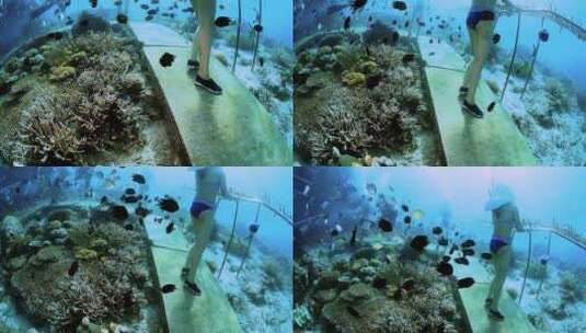 海底漫步高清在线视频素材下载