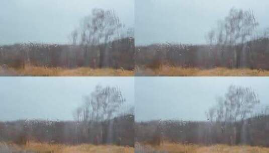 大雨拍打窗户树木地面高清在线视频素材下载