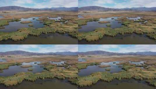 新疆可可苏里湿地湖泊航拍视角高清在线视频素材下载