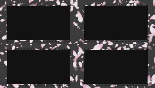 桃花花瓣简洁视频框带通道高清在线视频素材下载