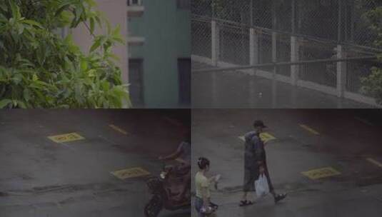广州天河雨天树木树叶住宅楼房行人高清在线视频素材下载