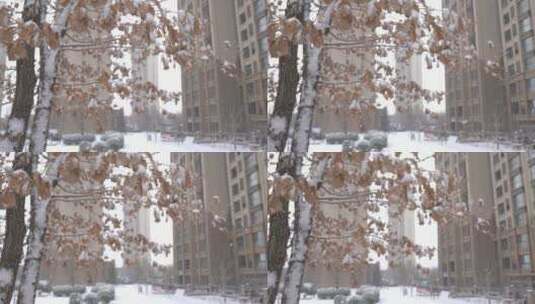 冬天雪景唯美下雪高清在线视频素材下载