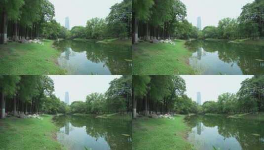 武汉汉口现代园林解放公园高清在线视频素材下载
