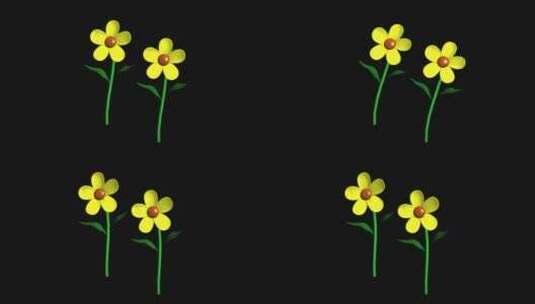 黄色的卡通花朵高清在线视频素材下载