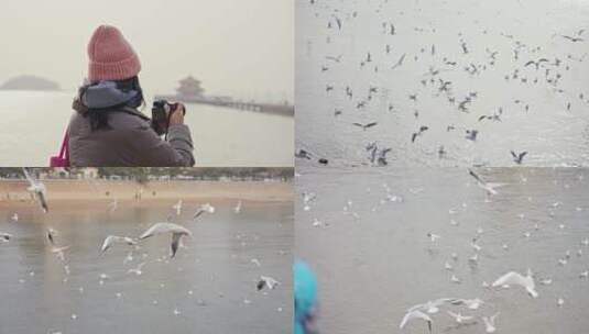 青岛栈桥文艺青年拍摄海鸥飞行高清在线视频素材下载