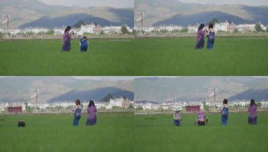 喜洲古镇绿色稻田中拍照的游客高清在线视频素材下载