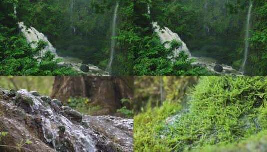 河流生命生长水大自然雨林水滴水树林雨滴高清在线视频素材下载