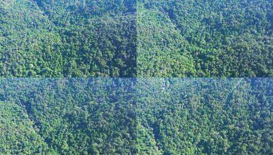 航拍西双版纳野象谷曼掌村原始森林景色高清在线视频素材下载