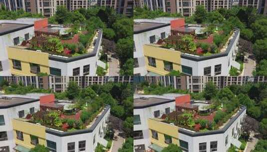 屋顶花园 楼顶花园高清在线视频素材下载