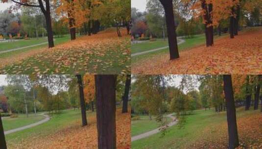 秋天美丽的公园高清在线视频素材下载
