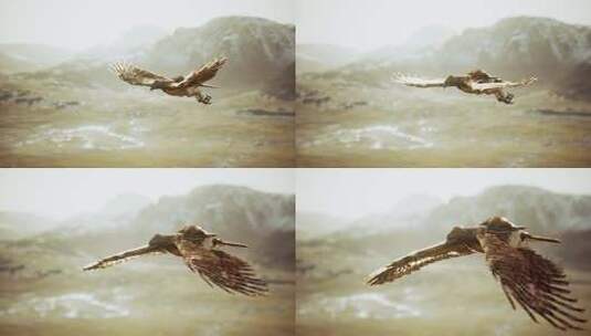 空中静止的老鹰高清在线视频素材下载