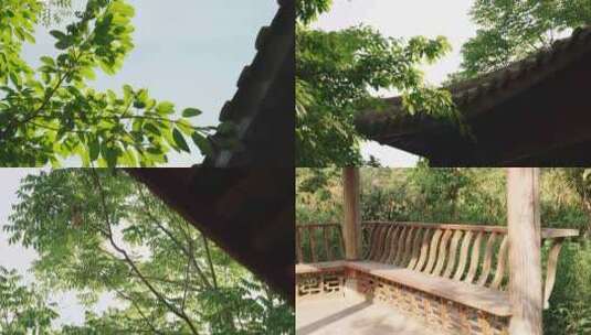 公园树木中的亭子高清在线视频素材下载