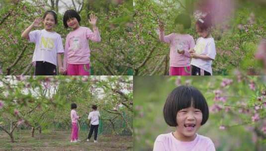 桃花丛中小孩的笑脸高清在线视频素材下载